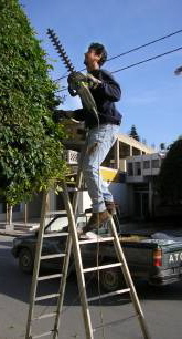 Georgo, der Baumbeschneider