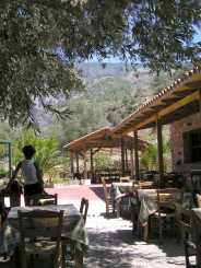 Oasis Taverne in Sougia